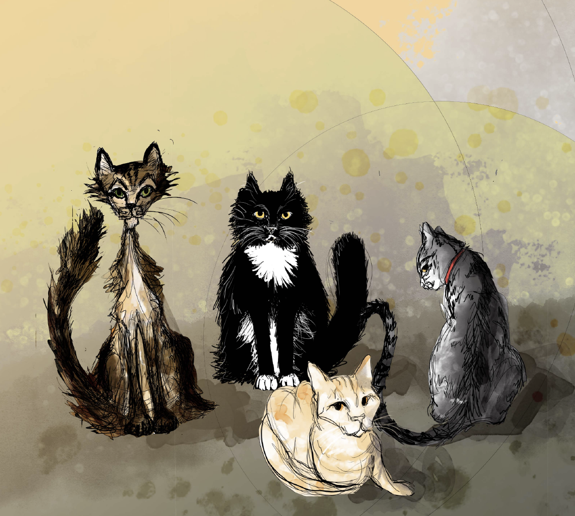 Sketches of four cats